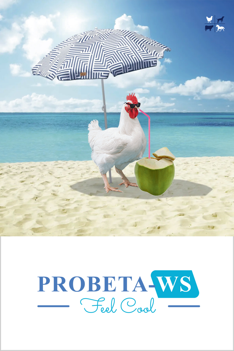 Zenchlor-TC Product Image